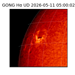 gong - 2026-05-11T05:00:02