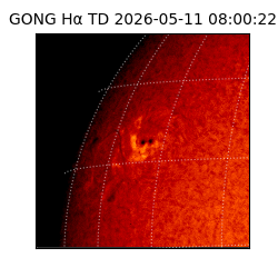 gong - 2026-05-11T08:00:22