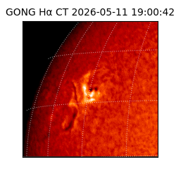 gong - 2026-05-11T19:00:42