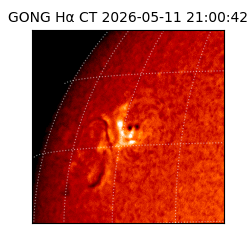 gong - 2026-05-11T21:00:42