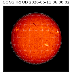 gong - 2026-05-11T06:00:02