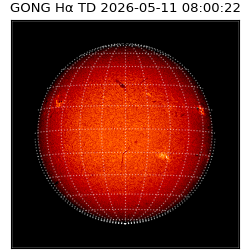 gong - 2026-05-11T08:00:22