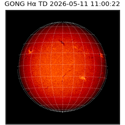 gong - 2026-05-11T11:00:22
