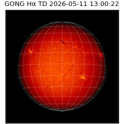 gong - 2026-05-11T13:00:22