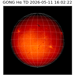 gong - 2026-05-11T16:02:22