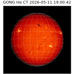 gong - 2026-05-11T19:00:42