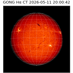 gong - 2026-05-11T20:00:42