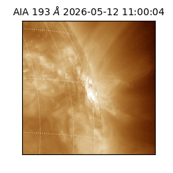 saia - 2026-05-12T11:00:04.842000