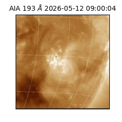 saia - 2026-05-12T09:00:04.842000