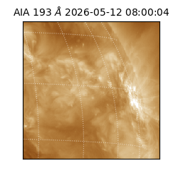 saia - 2026-05-12T08:00:04.842000