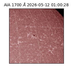 saia - 2026-05-12T01:00:28.726000