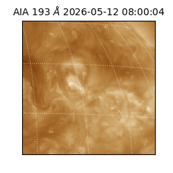 saia - 2026-05-12T08:00:04.842000