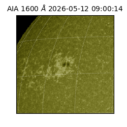 saia - 2026-05-12T09:00:14.129000