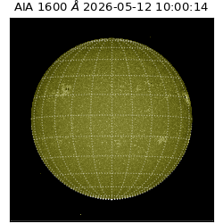 saia - 2026-05-12T10:00:14.130000