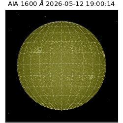 saia - 2026-05-12T19:00:14.123000
