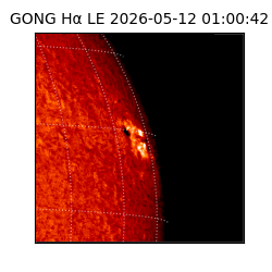 gong - 2026-05-12T01:00:42
