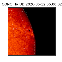 gong - 2026-05-12T06:00:02