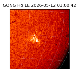 gong - 2026-05-12T01:00:42