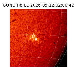 gong - 2026-05-12T02:00:42