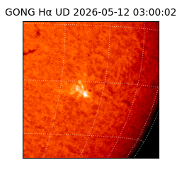 gong - 2026-05-12T03:00:02