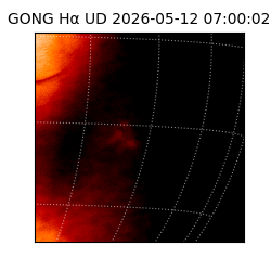 gong - 2026-05-12T07:00:02