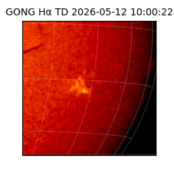 gong - 2026-05-12T10:00:22