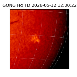 gong - 2026-05-12T12:00:22