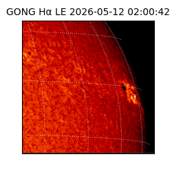 gong - 2026-05-12T02:00:42