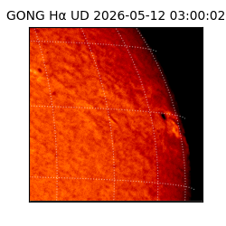 gong - 2026-05-12T03:00:02