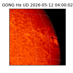 gong - 2026-05-12T04:00:02