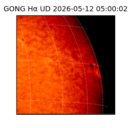 gong - 2026-05-12T05:00:02