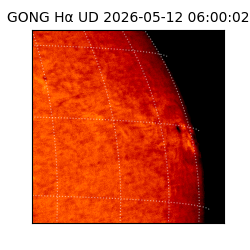gong - 2026-05-12T06:00:02