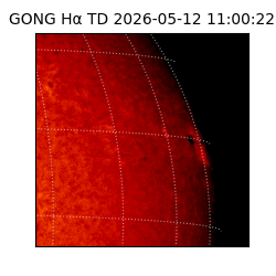 gong - 2026-05-12T11:00:22