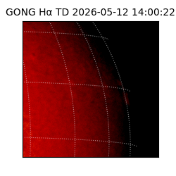 gong - 2026-05-12T14:00:22