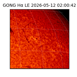 gong - 2026-05-12T02:00:42