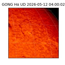 gong - 2026-05-12T04:00:02