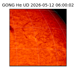 gong - 2026-05-12T06:00:02