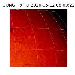 gong - 2026-05-12T08:00:22