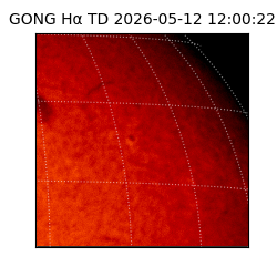 gong - 2026-05-12T12:00:22