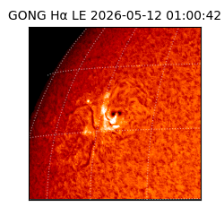 gong - 2026-05-12T01:00:42