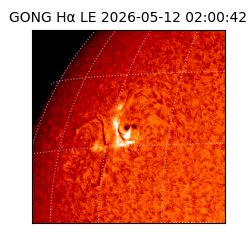 gong - 2026-05-12T02:00:42