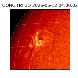 gong - 2026-05-12T04:00:02