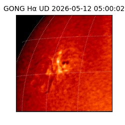 gong - 2026-05-12T05:00:02