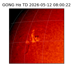 gong - 2026-05-12T08:00:22