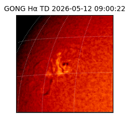 gong - 2026-05-12T09:00:22