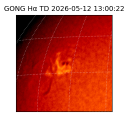 gong - 2026-05-12T13:00:22