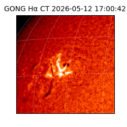 gong - 2026-05-12T17:00:42
