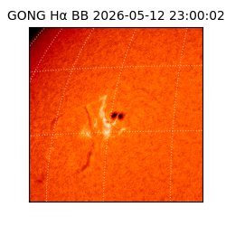 gong - 2026-05-12T23:00:02
