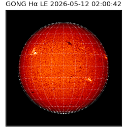gong - 2026-05-12T02:00:42