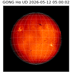 gong - 2026-05-12T05:00:02